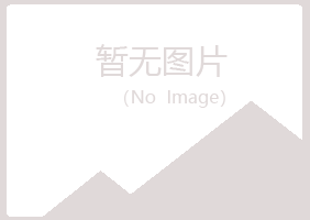 阳江夏日保险有限公司